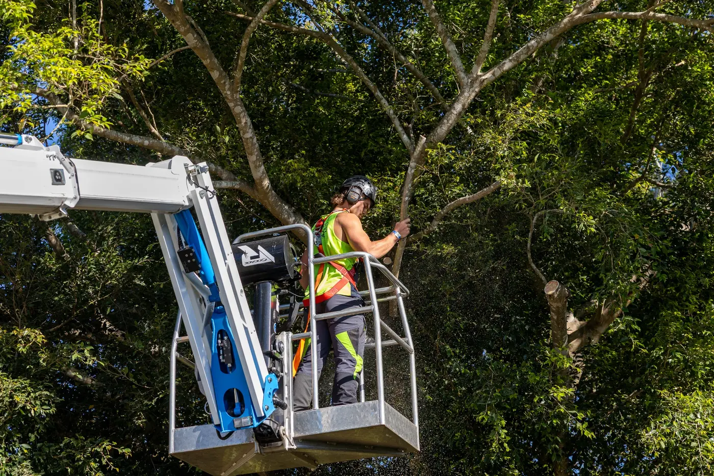 Arborist working from an elevated platform among trees